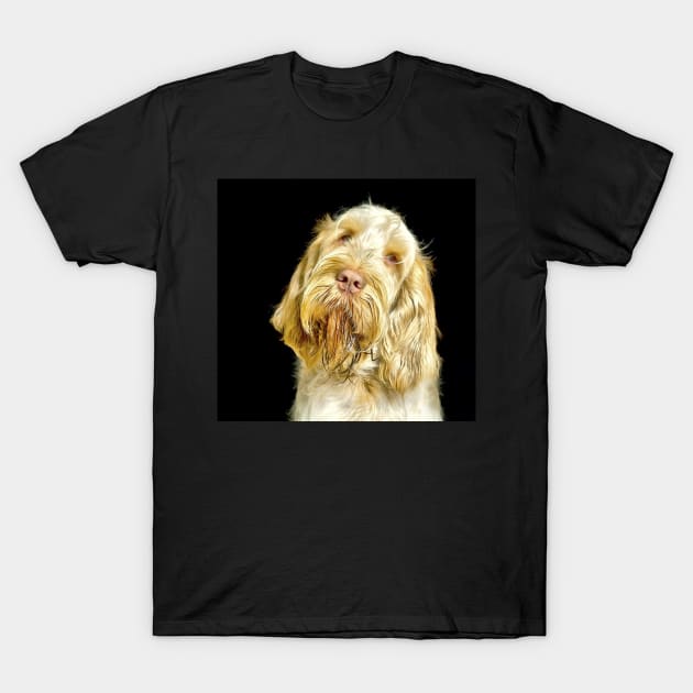 Head tilt Spinone T-Shirt by heidiannemorris